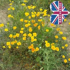 Meet your Posher, Ollie